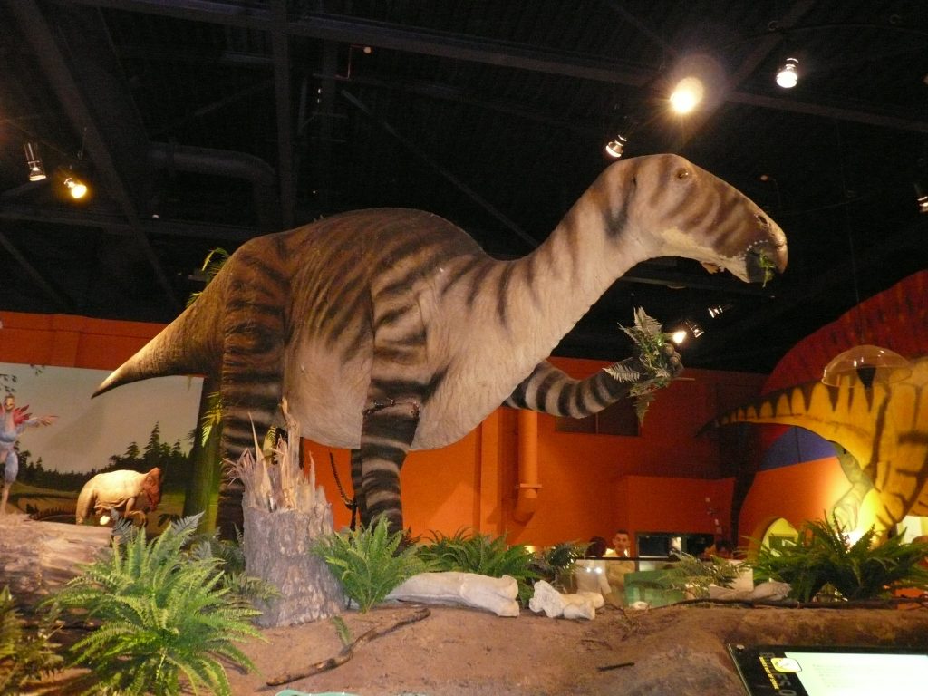 Dinosaur Isle museum review