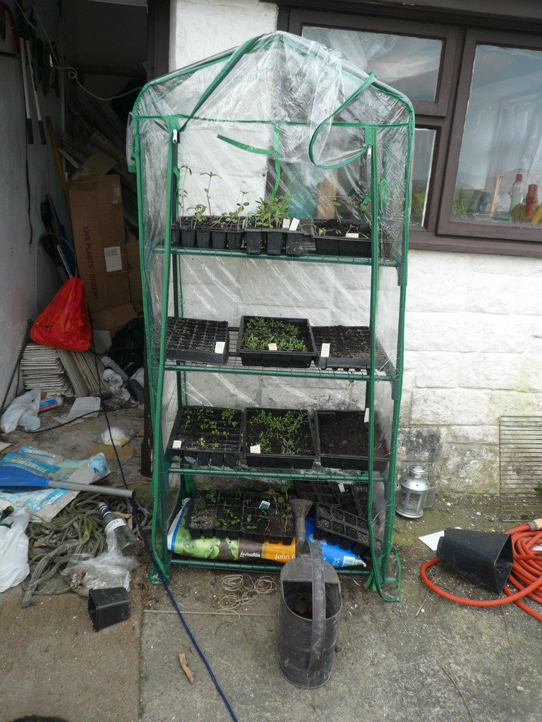 The mini-greenhouse