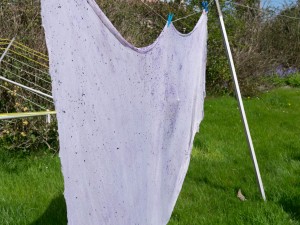 Natural dyeing