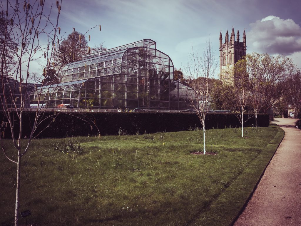 Greenhouses at the Oxford Botanic Gardens