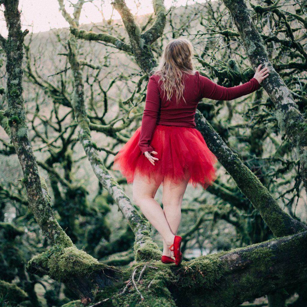 Fairy in Wistman's Wood