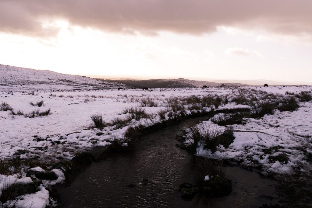 Dartmoor in the snow